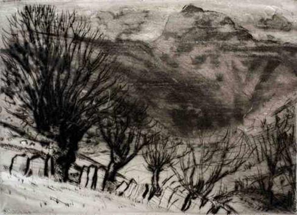 5.POLLARDOSKETC,LANGDALE